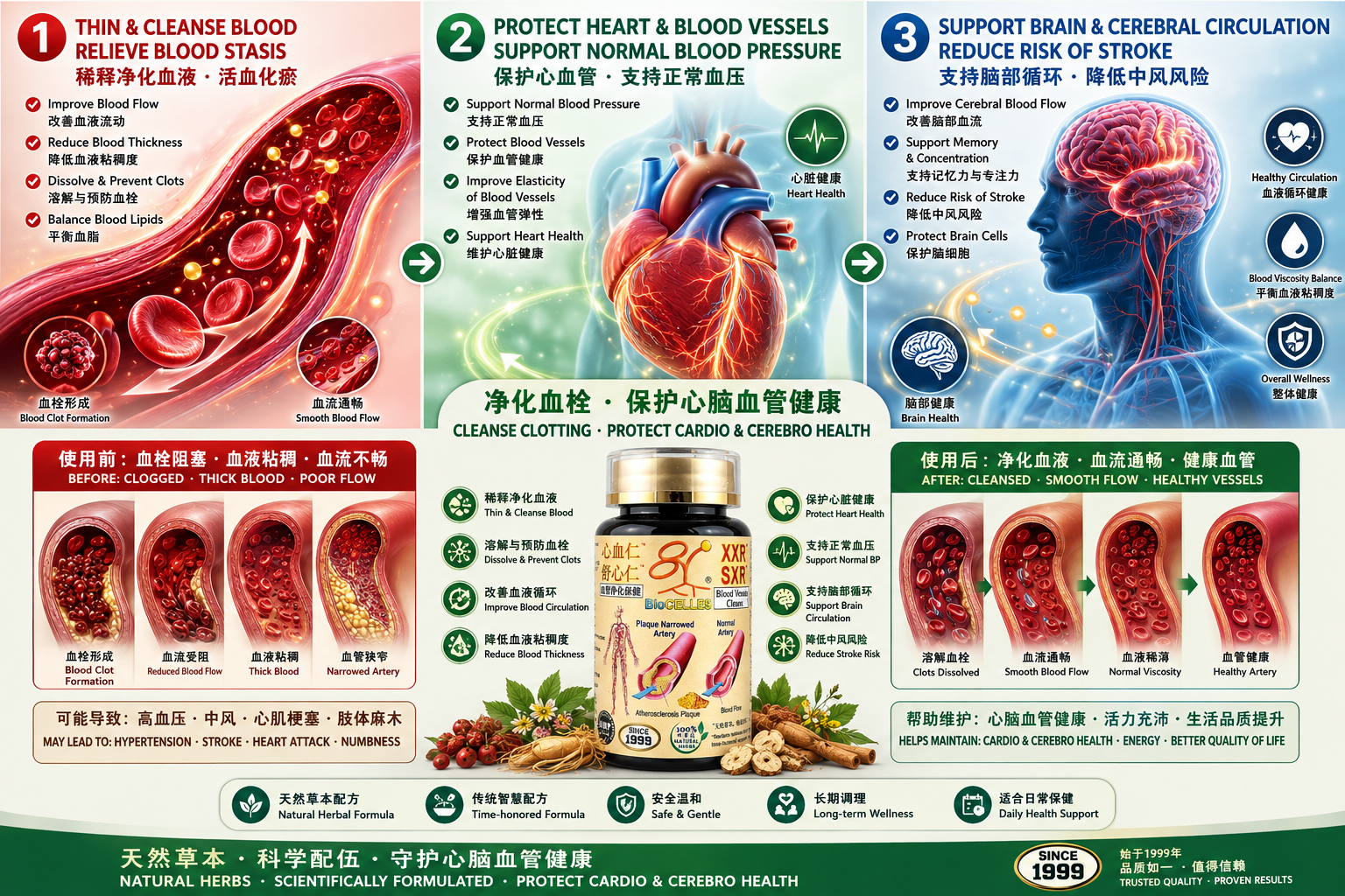 XXR SXR English and Chinese Functionalities Brochure