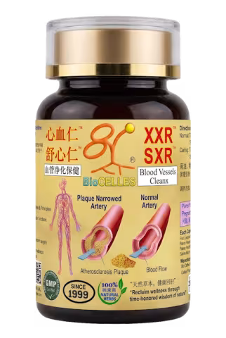 XXR (XuXinRen) 舒心仁 / XinXueRen 心血仁 / ShuXinRen (SXR)